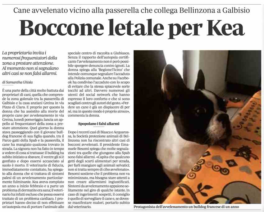 12.02.2015-cane avvelenatopic