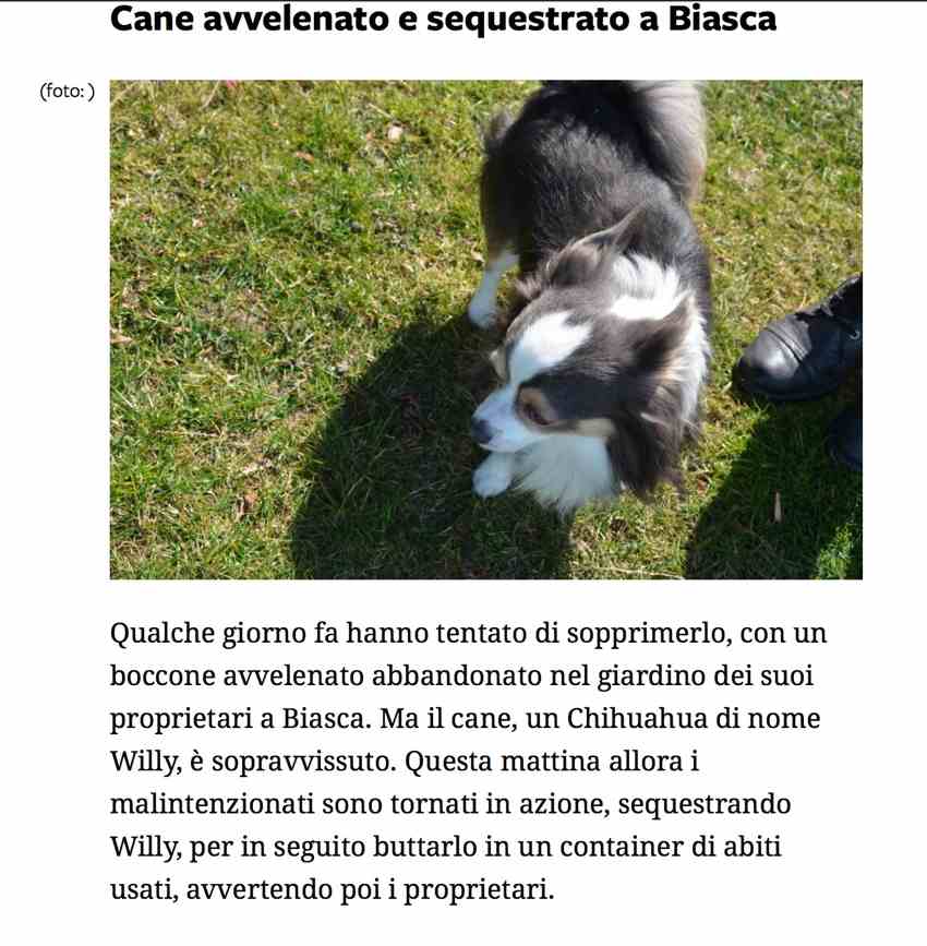 6.03.2015-cane biasca