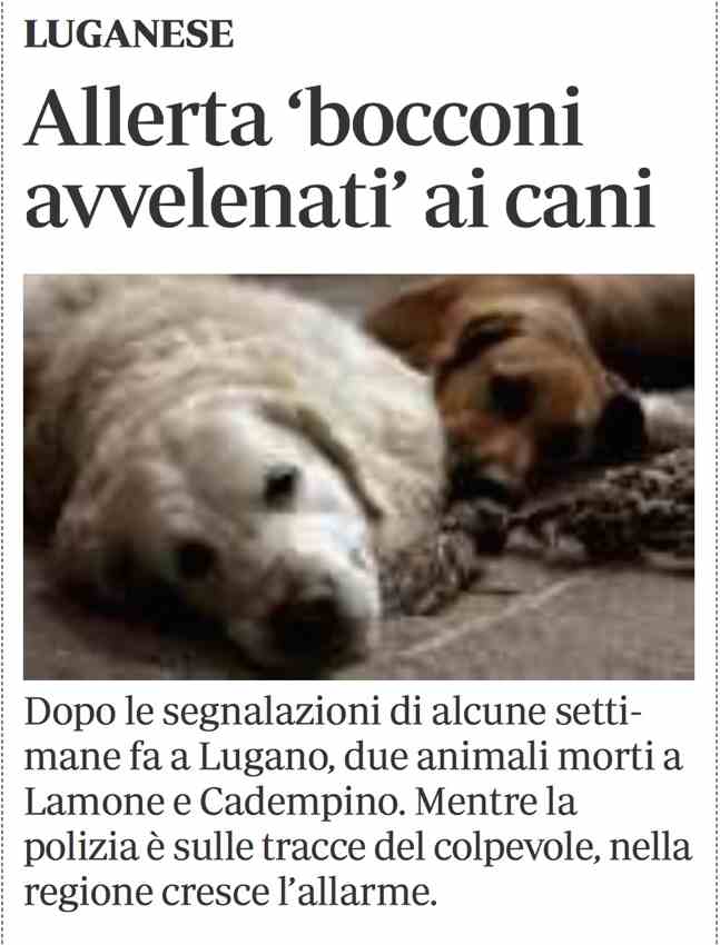 attenti all&#39;uomo1